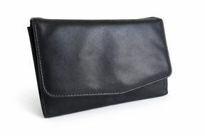 Document pouch